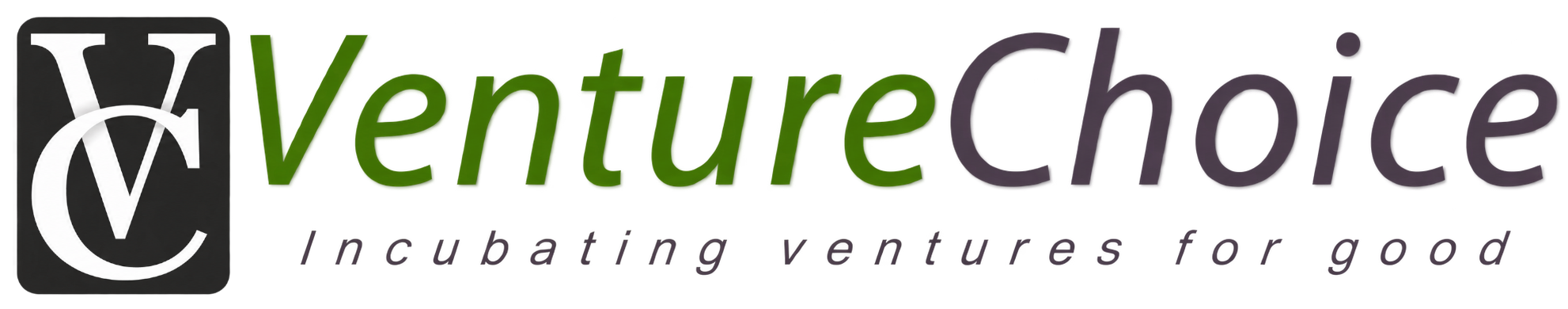 VentureChoice